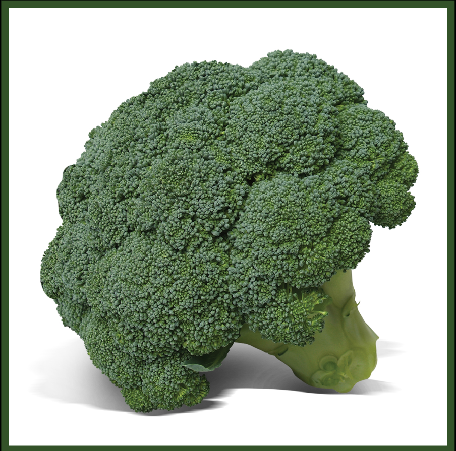 Brócoli Avenger