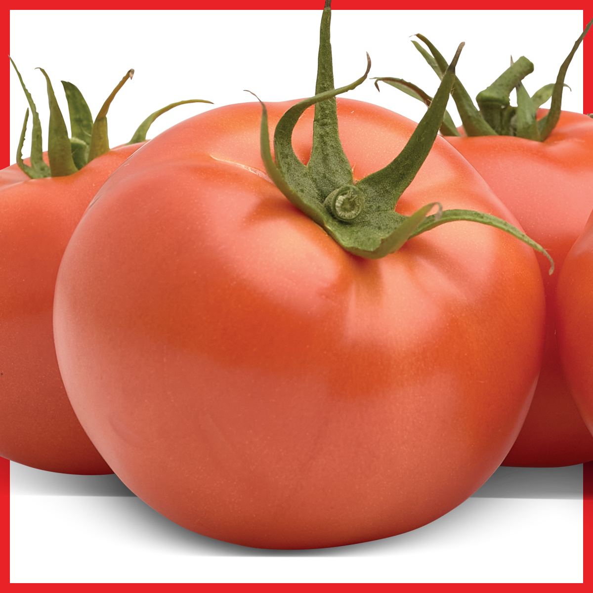 Tomate Botero